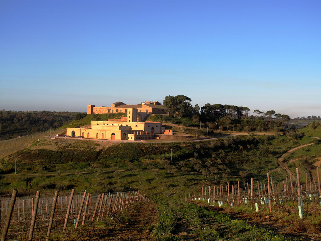 Villa Wine Relais Feudi Del Pisciotto Niscemi Esterno foto
